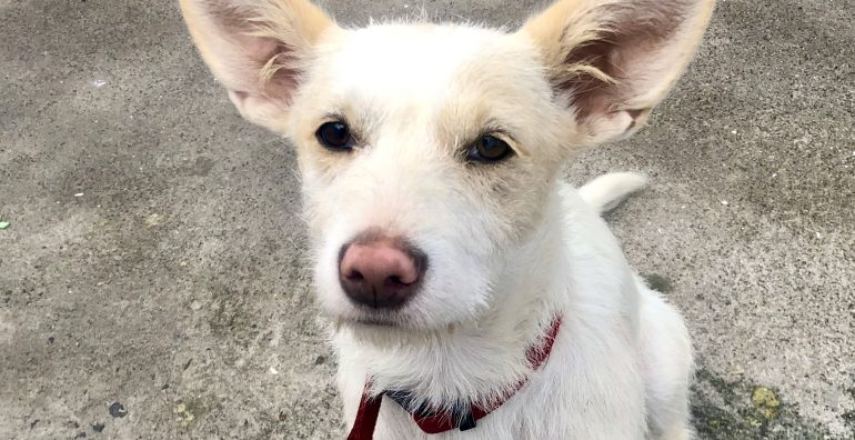 hospedes-permanentes-slider-1