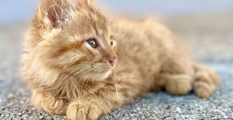 hospedes-permanentes-slider-3